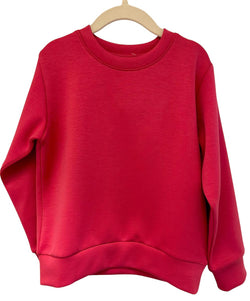 Performance Sweatshirt- dark pink