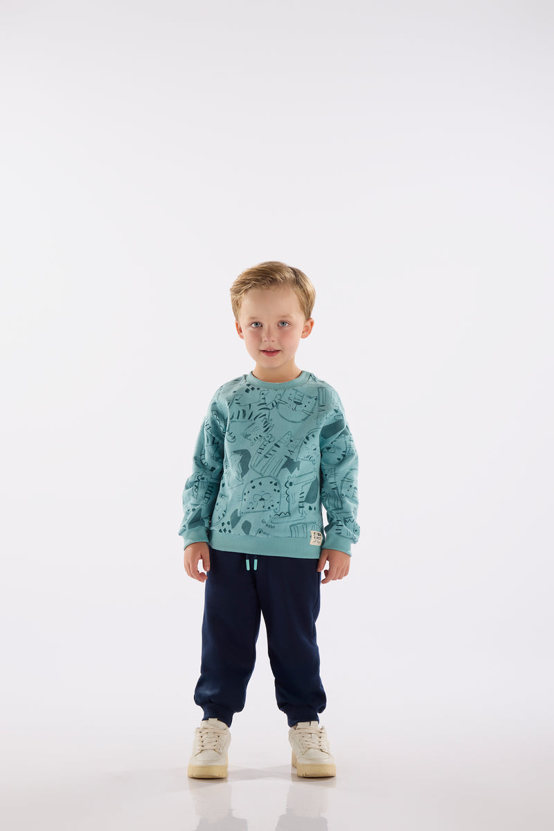 Sweatshirt Set- dinosaurs