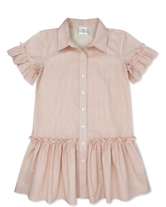 Darcy Dress- Danbury Dot
