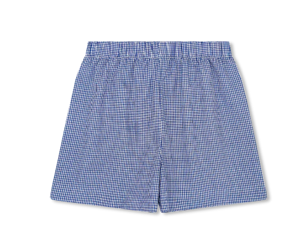 Stewart Short- River Royal Blue minigingham