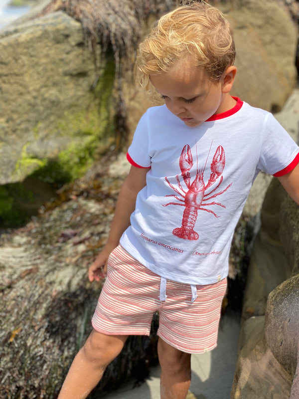 Falmouth Lobster Shirt