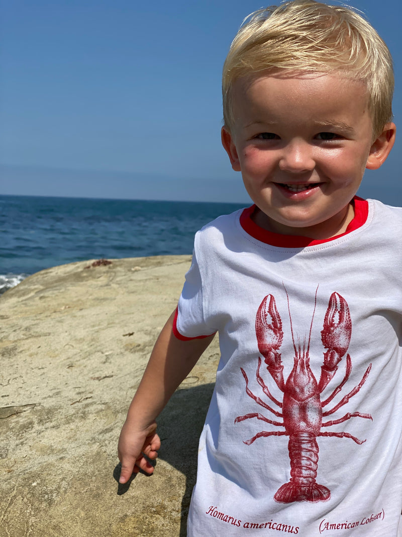 Falmouth Lobster Shirt