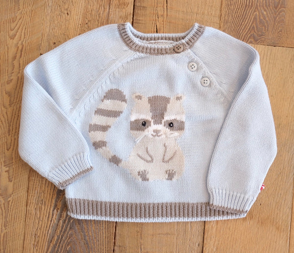 Raccoon Sweater